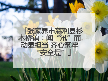张家界市慈利县杉木桥镇：闻“汛”而动显担当 齐心筑牢“安全堤”