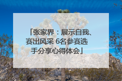 张家界：展示自我、赛出风采 6名参赛选手分享心得体会