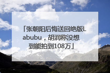 张朝阳后悔送回绝版Labubu，胡润称没想到能拍到108万