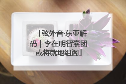 弦外音·东亚解码｜李在明智囊团或将就地组阁