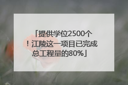 提供学位2500个！江陵这一项目已完成总工程量的80%