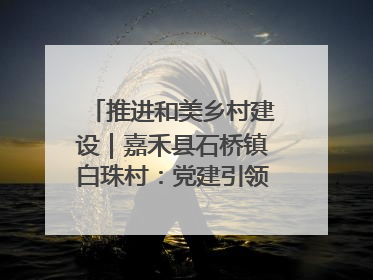 推进和美乡村建设｜嘉禾县石桥镇白珠村：党建引领破“空”局 乡贤聚力绘就新图景