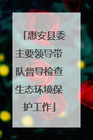 惠安县委主要领导带队督导检查生态环境保护工作