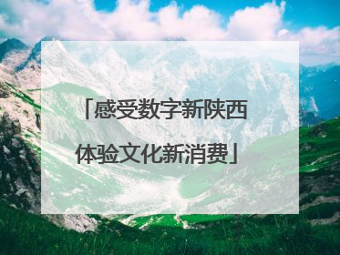 感受数字新陕西 体验文化新消费
