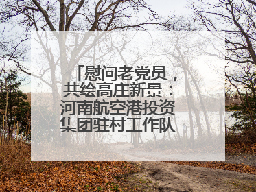 慰问老党员，共绘高庄新景：河南航空港投资集团驻村工作队开启暖心之旅