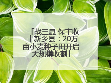 战三夏 保丰收丨新乡县：20万亩小麦种子田开启大规模收割