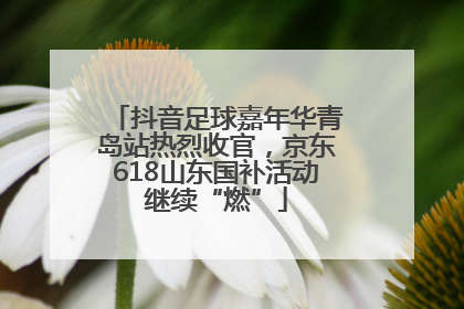 抖音足球嘉年华青岛站热烈收官，京东618山东国补活动继续“燃”