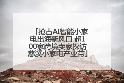 抢占AI智能小家电出海新风口 超100家跨境卖家探访慈溪小家电产业带