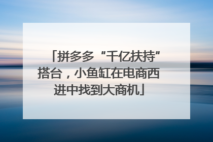 拼多多“千亿扶持”搭台，小鱼缸在电商西进中找到大商机