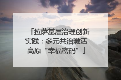 拉萨基层治理创新实践：多元共治激活高原“幸福密码”