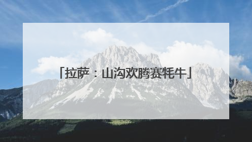 拉萨：山沟欢腾赛牦牛
