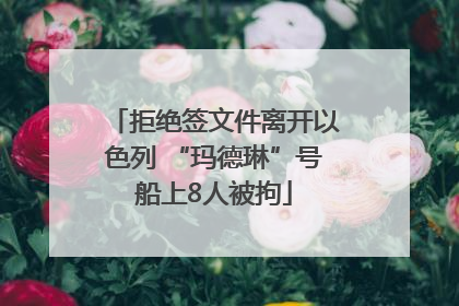 拒绝签文件离开以色列 “玛德琳”号船上8人被拘