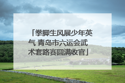 拳脚生风展少年英气 青岛市六运会武术套路赛圆满收官
