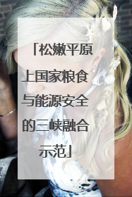 松嫩平原上国家粮食与能源安全的三峡融合示范