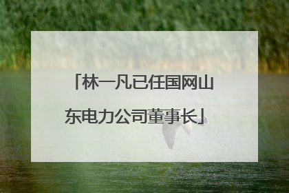 林一凡已任国网山东电力公司董事长