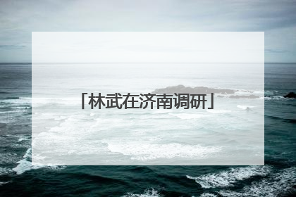 林武在济南调研