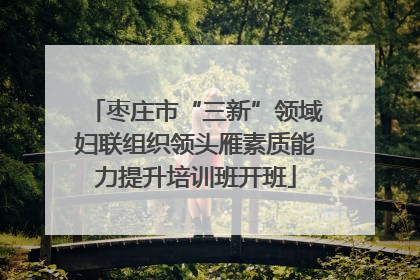 枣庄市“三新”领域妇联组织领头雁素质能力提升培训班开班