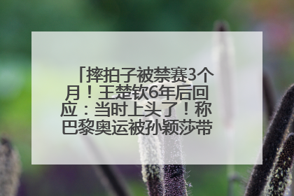 摔拍子被禁赛3个月！王楚钦6年后回应：当时上头了！称巴黎奥运被孙颖莎带着打，搭档8年“一个眼神就能懂”