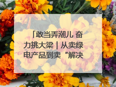 敢当弄潮儿 奋力挑大梁｜从卖绿电产品到卖“解决方案”！溧阳立足产业优势建成五大微电网示范项目