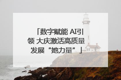 数字赋能 AI引领 大庆激活高质量发展“她力量”