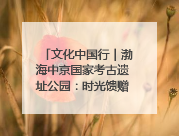 文化中国行｜渤海中京国家考古遗址公园：时光馈赠的宝藏 历史凝固的诗篇