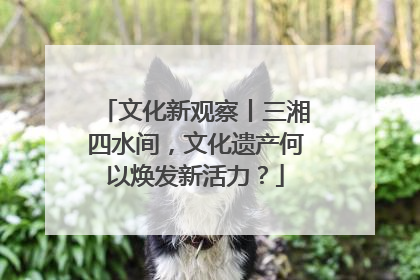 文化新观察丨三湘四水间，文化遗产何以焕发新活力？