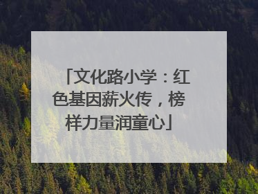 文化路小学：红色基因薪火传，榜样力量润童心