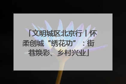 文明城区北京行丨怀柔创城“绣花功”：街巷焕彩、乡村兴业