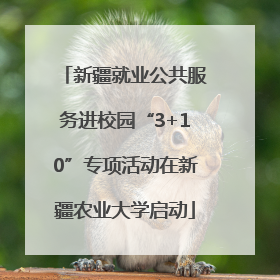 新疆就业公共服务进校园“3+10”专项活动在新疆农业大学启动