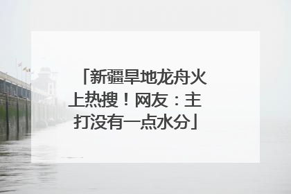 新疆旱地龙舟火上热搜！网友：主打没有一点水分
