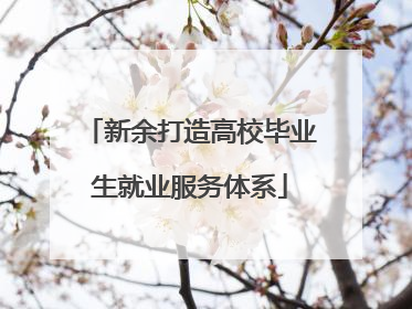 新余打造高校毕业生就业服务体系