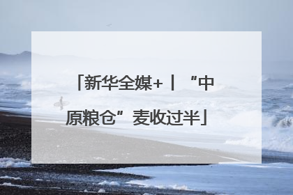 新华全媒+丨“中原粮仓”麦收过半
