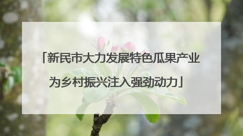 新民市大力发展特色瓜果产业 为乡村振兴注入强劲动力