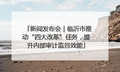 新闻发布会｜临沂市推动“四大改革”任务，提升内部审计监督效能