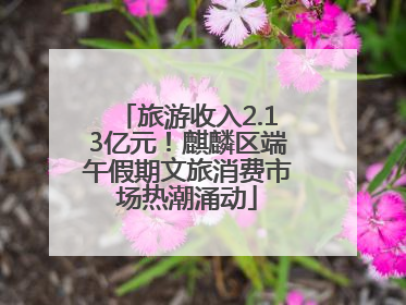 旅游收入2.13亿元！麒麟区端午假期文旅消费市场热潮涌动