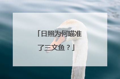 日照为何瞄准了三文鱼？