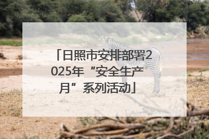 日照市安排部署2025年“安全生产月”系列活动