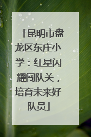 昆明市盘龙区东庄小学：红星闪耀闯队关，培育未来好队员