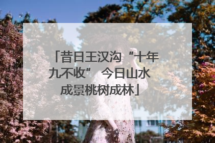 昔日王汉沟“十年九不收” 今日山水成景桃树成林