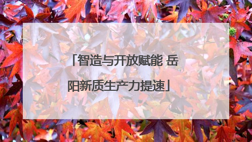 智造与开放赋能 岳阳新质生产力提速