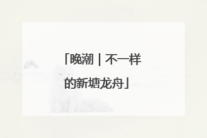 晚潮｜不一样的新塘龙舟