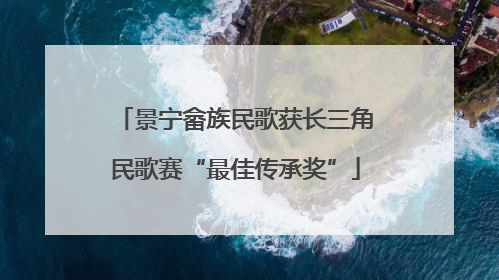 景宁畲族民歌获长三角民歌赛“最佳传承奖”