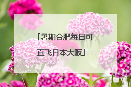 暑期合肥每日可直飞日本大阪