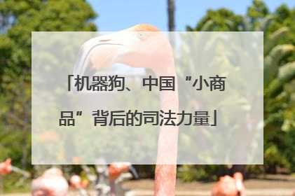 机器狗、中国“小商品”背后的司法力量