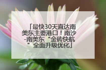 最快30天直达南美东主要港口！南沙-南美东“金砖快航”全面升级优化
