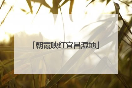 朝霞映红宜昌湿地