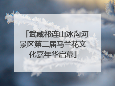 武威祁连山冰沟河景区第二届马兰花文化嘉年华启幕