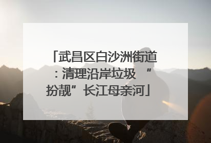 武昌区白沙洲街道：清理沿岸垃圾 “扮靓”长江母亲河