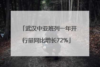 武汉中亚班列一年开行量同比增长72%