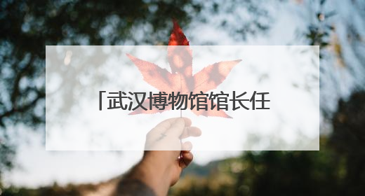 武汉博物馆馆长任晓飞：从武汉出土文物看千年江城变迁
